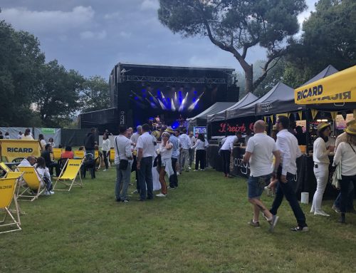 Art N’VIP Festival